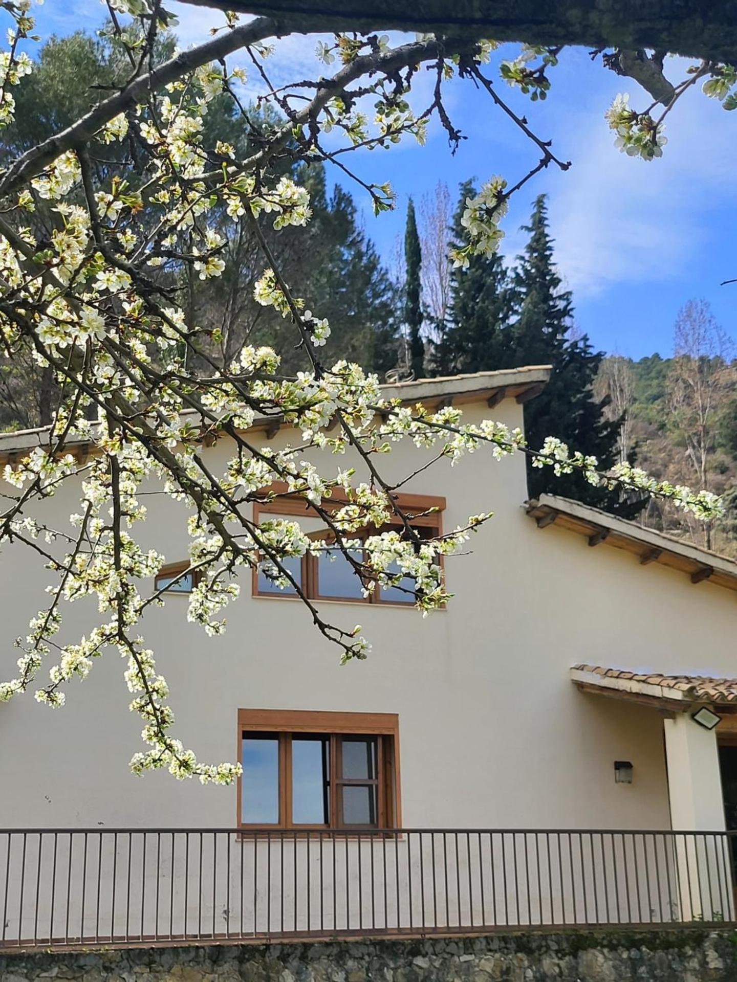 Casa Montepinar * Cazorla
